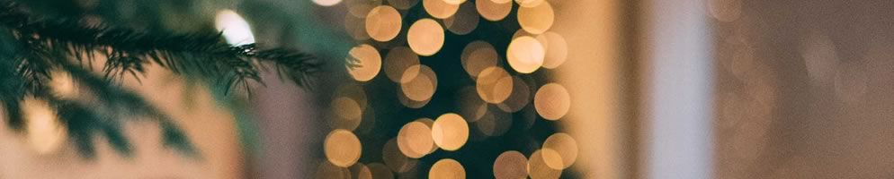 Julefrokost & Julebuffet 2022 i Fredericia